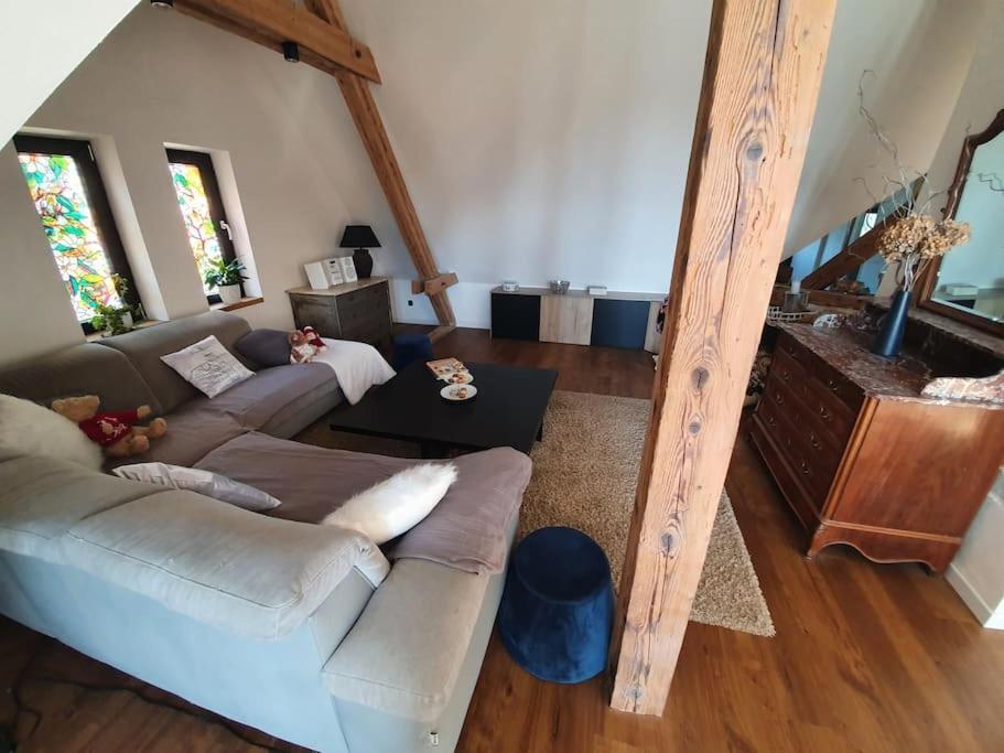 La Tour Du Bois Fleuri Appartement Colmar Buitenkant foto