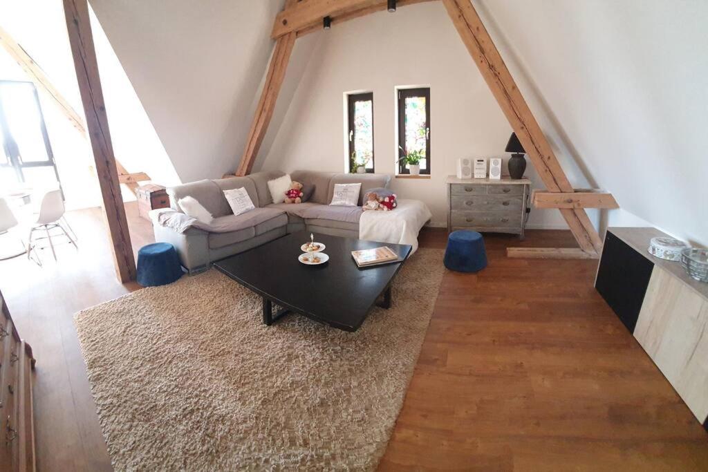La Tour Du Bois Fleuri Appartement Colmar Buitenkant foto