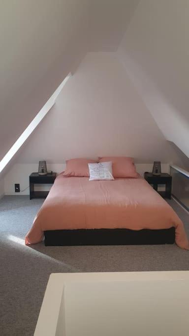 La Tour Du Bois Fleuri Appartement Colmar Buitenkant foto